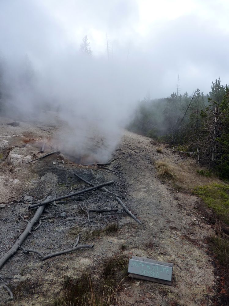Yellowstone Norris Geyser (45).JPG
